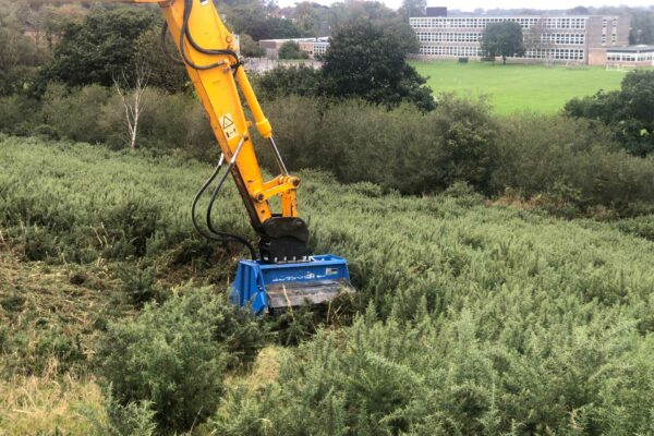 mulcher clearing Hedgerow