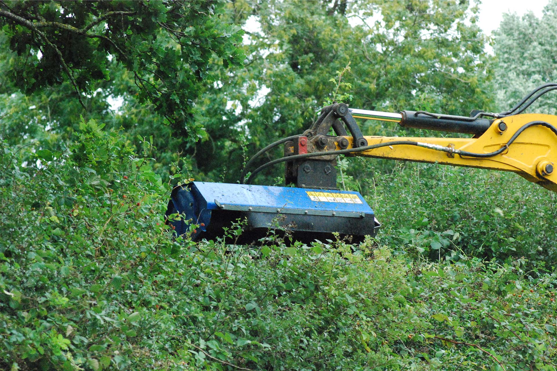 Blue Robustrack flail cutting a hedge top